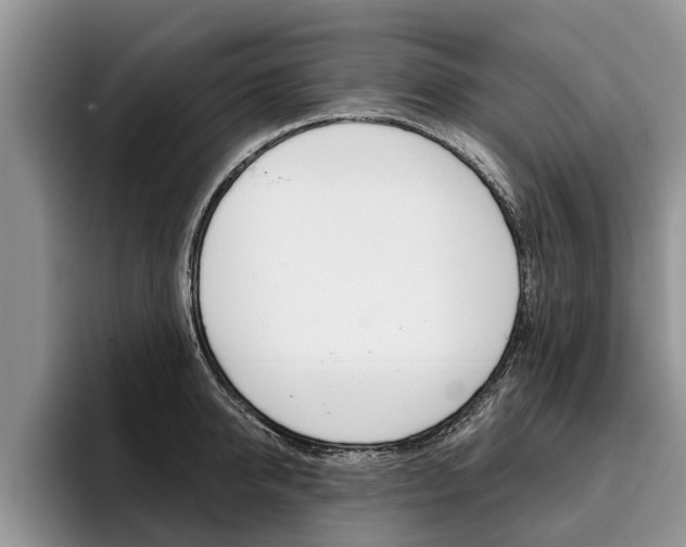 X0000096170950200801180827