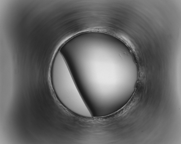 X0000096170952200801180827