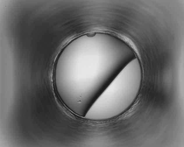 X0000096170954200801180827