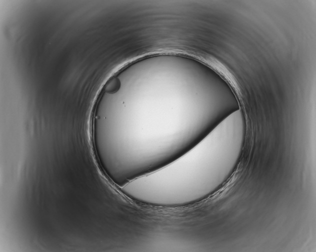 X0000096170958200801180827