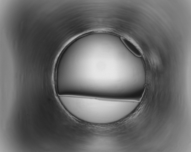 X0000096170959200801180827