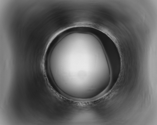 X0000096170960200801180827