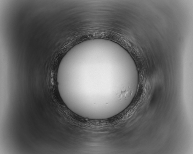 X0000096170962200801180827