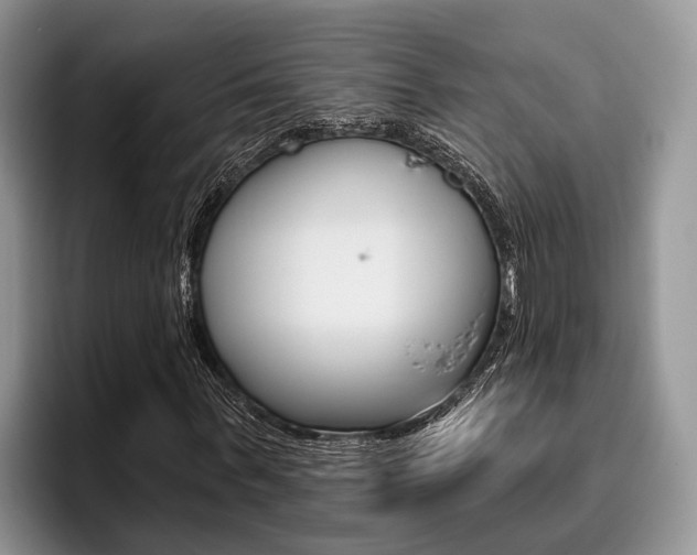 X0000096170963200801180827