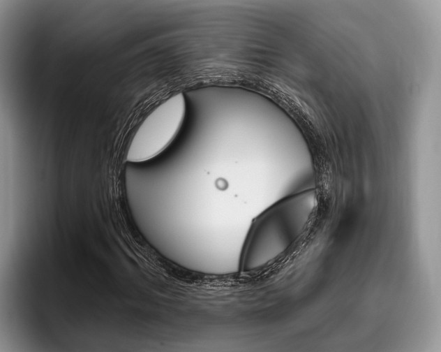 X0000096170964200801180827
