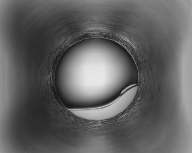 X0000096170965200801180827