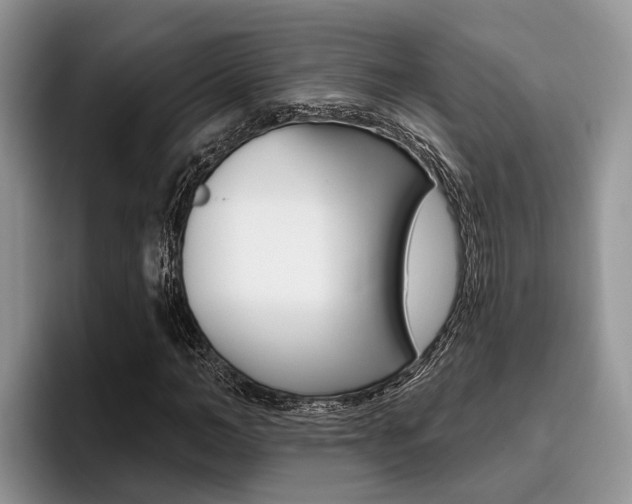 X0000096170966200801180827