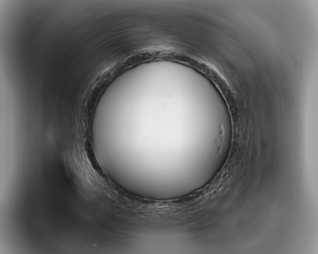 X0000096170967200801180827
