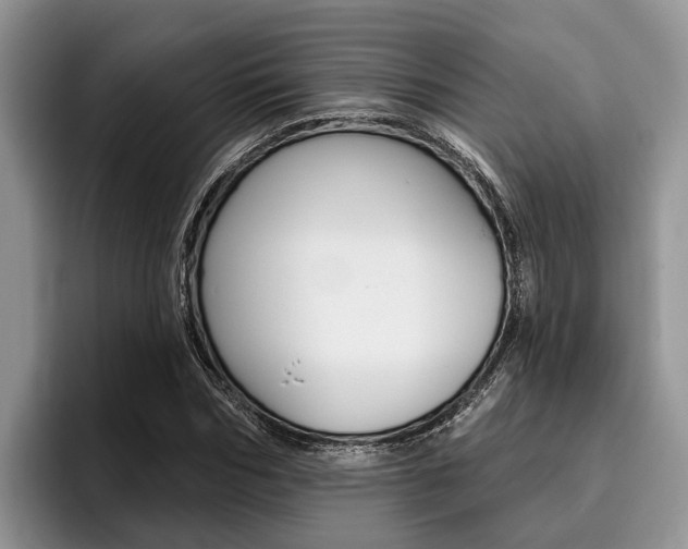 X0000096170970200801180827