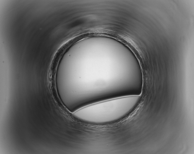 X0000096170971200801180827