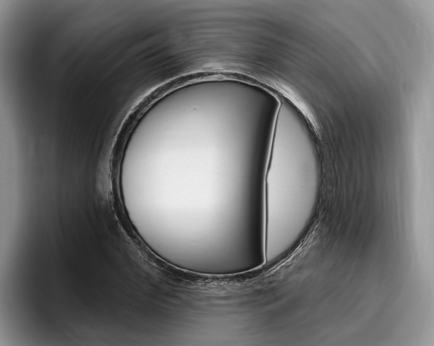 X0000096170972200801180827