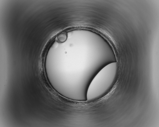 X0000096170974200801180827