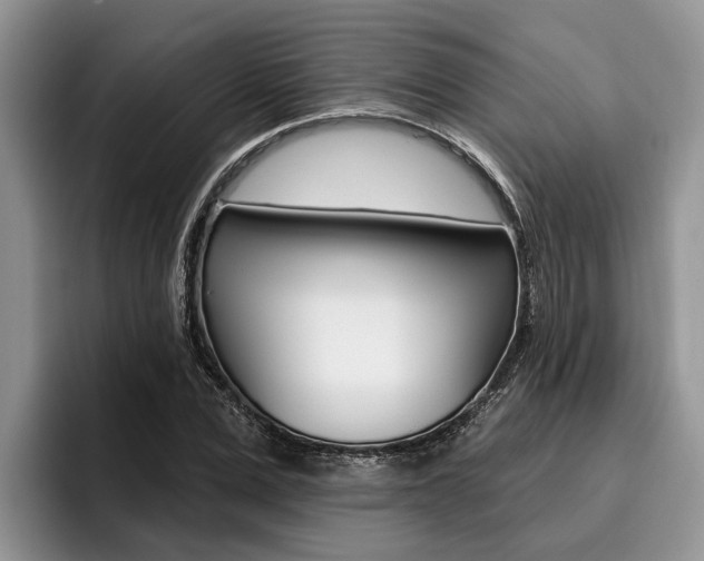 X0000096170975200801180827