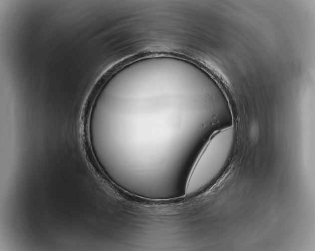 X0000096170976200801180827