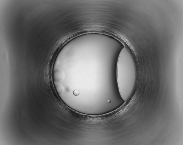 X0000096170978200801180827