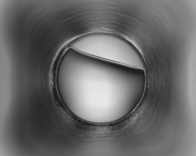 X0000096170979200801180827