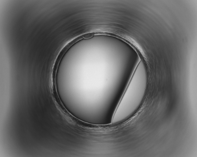 X0000096170980200801180827
