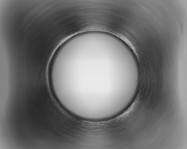 X0000096170981200801180827