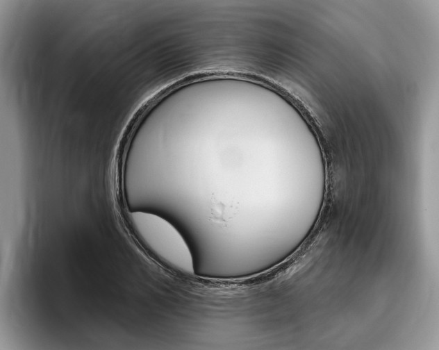 X0000096170982200801180827