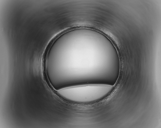 X0000096170983200801180827