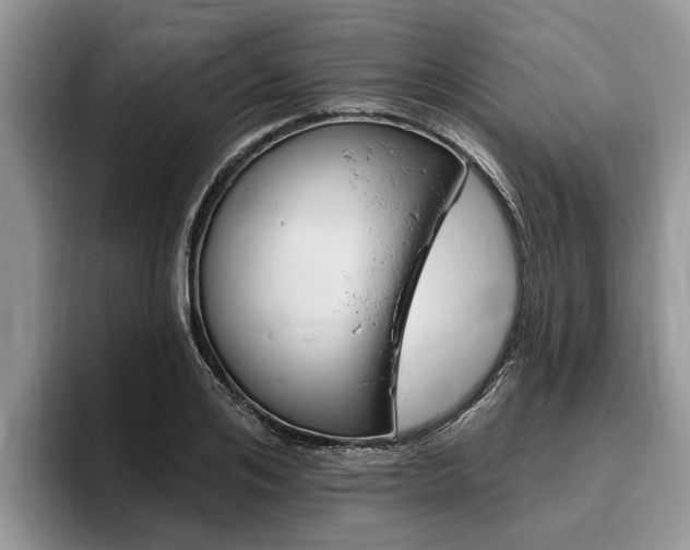 X0000096170984200801180826