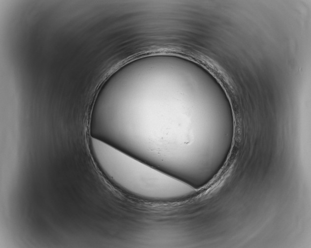 X0000096170985200801180826