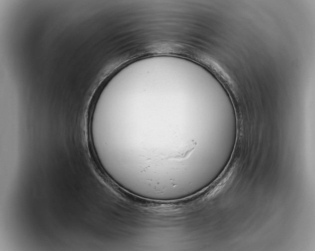 X0000096170986200801180826