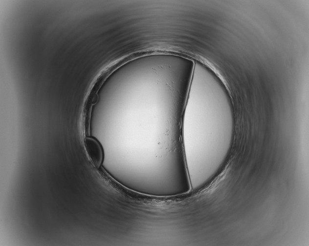 X0000096170987200801180826