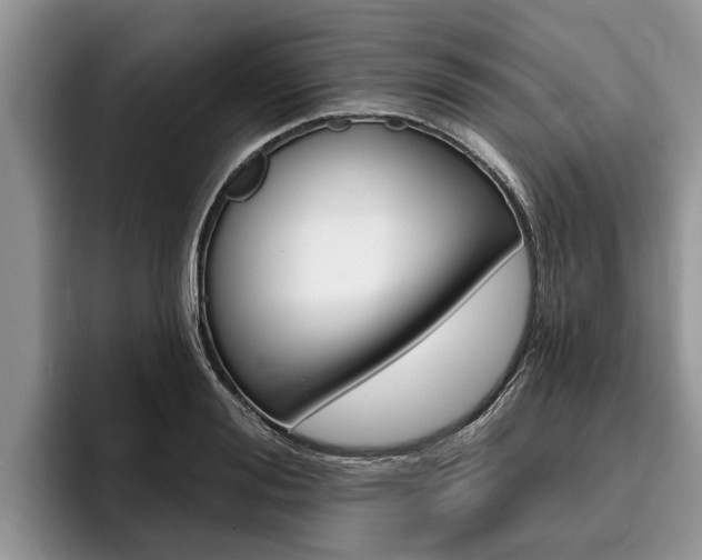 X0000096170988200801180826