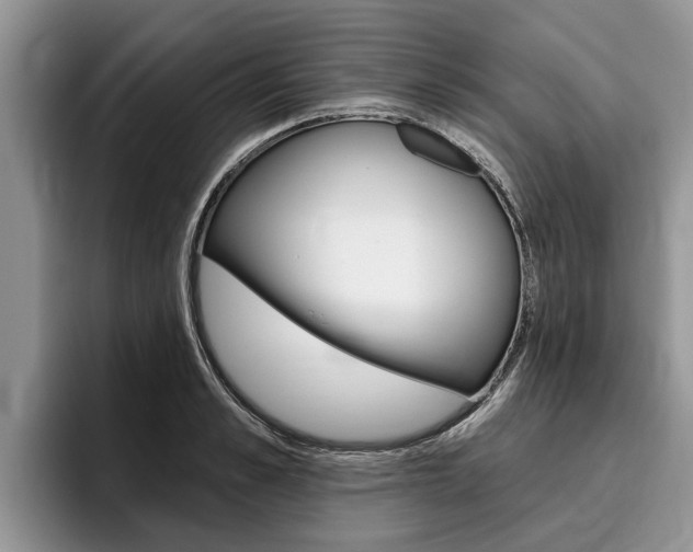 X0000096170989200801180826