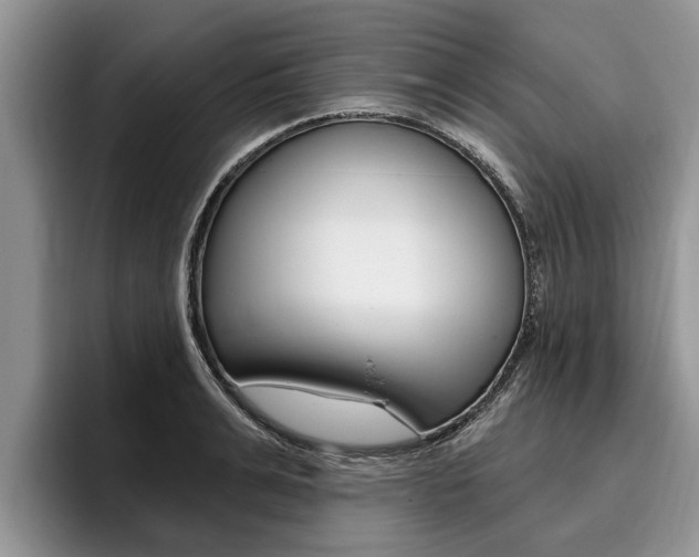X0000096170991200801180826