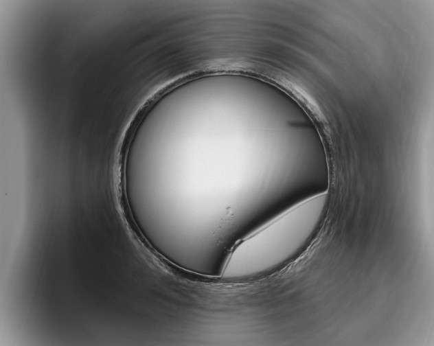 X0000096170992200801180826