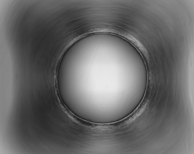 X0000096170993200801180826