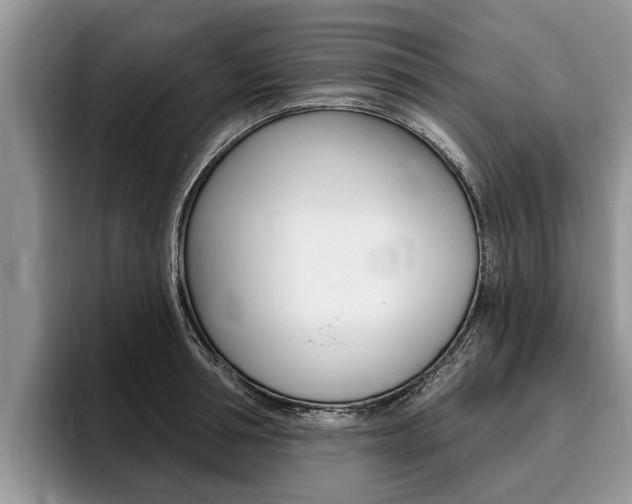 X0000096170994200801180826