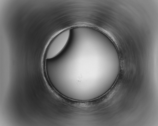 X0000096170995200801180826