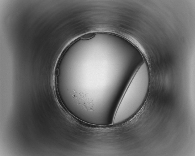 X0000096170996200801180826