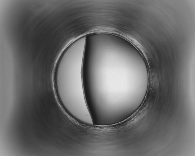 X0000096170997200801180826