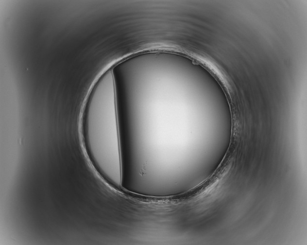 X0000096170999200801180826