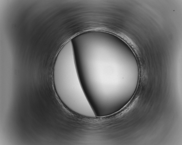 X0000096171001200801180826
