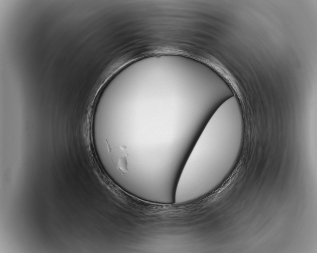 X0000096171002200801180826