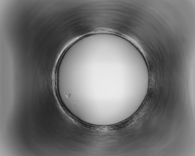 X0000096171003200801180826