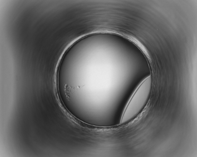 X0000096171004200801180826