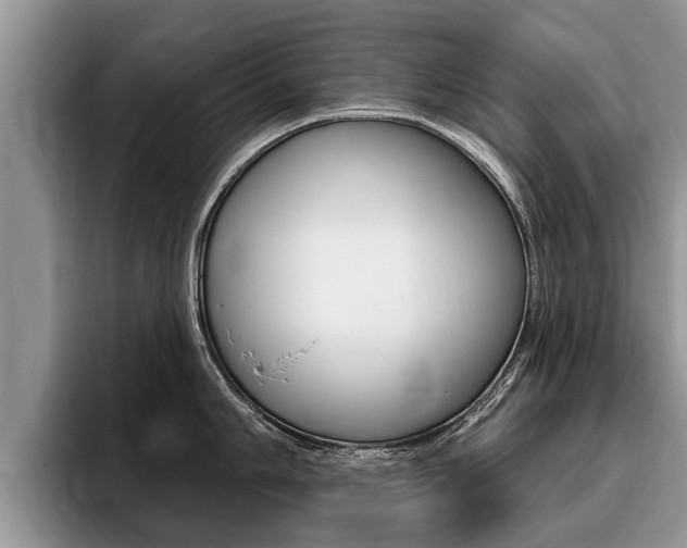 X0000096171006200801180826