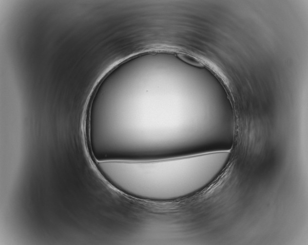 X0000096171007200801180826