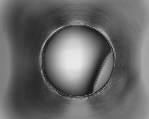 X0000096171008200801180826
