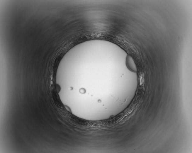 X0000096171011200801180826