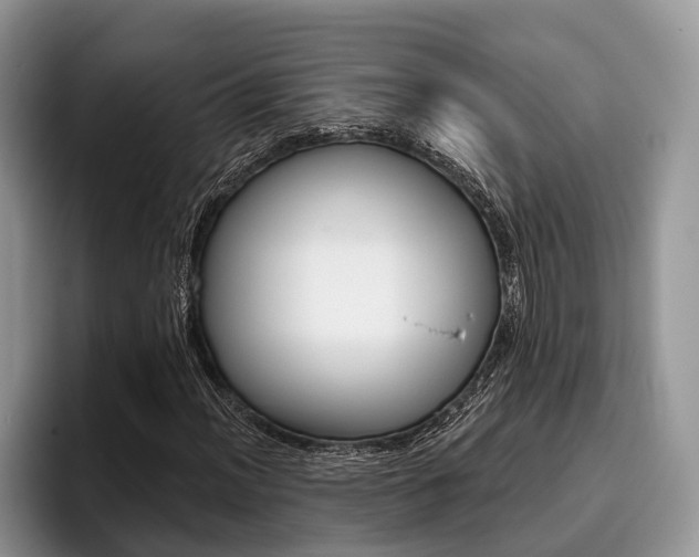X0000096171012200801180826