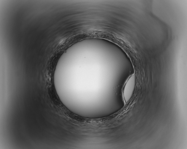 X0000096171013200801180826