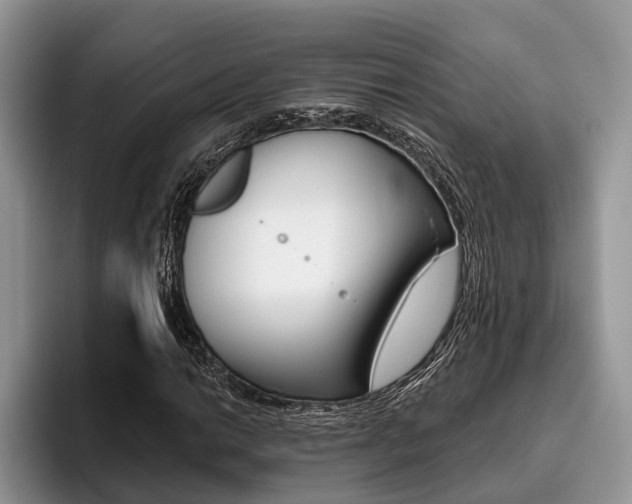 X0000096171014200801180826