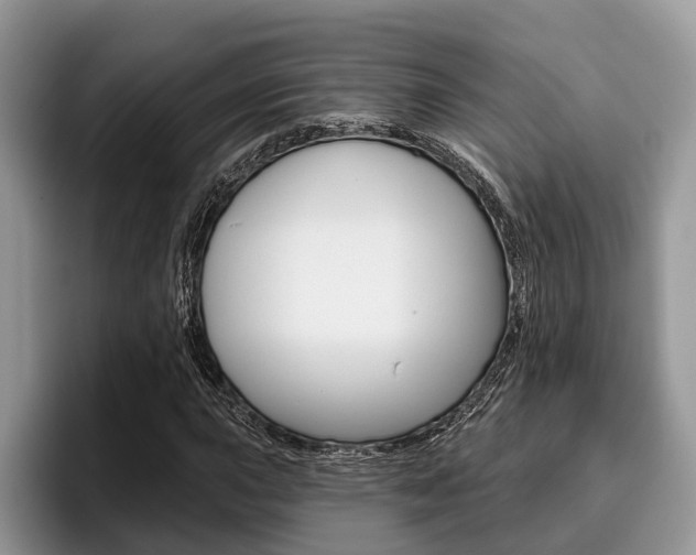 X0000096171015200801180826